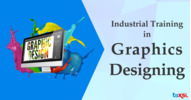 Graphic Design Industrial Training at ToXSL Technologies