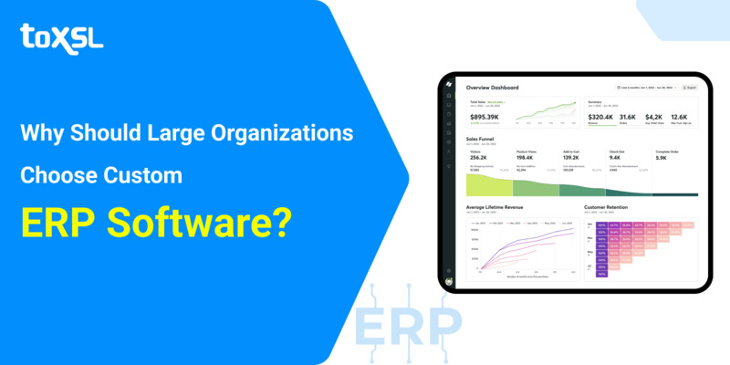 Why Should Large Organizations Choose Custom ERP Software?