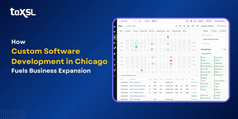 Custom Software Development in Chicago for Businesses Growth