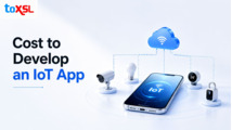 How Much Does IoT App Development Cost?