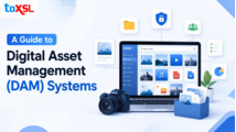 The Complete Guide to Digital Asset Management (DAM) Systems